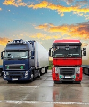 Lữ Hoàng Trúc Linh